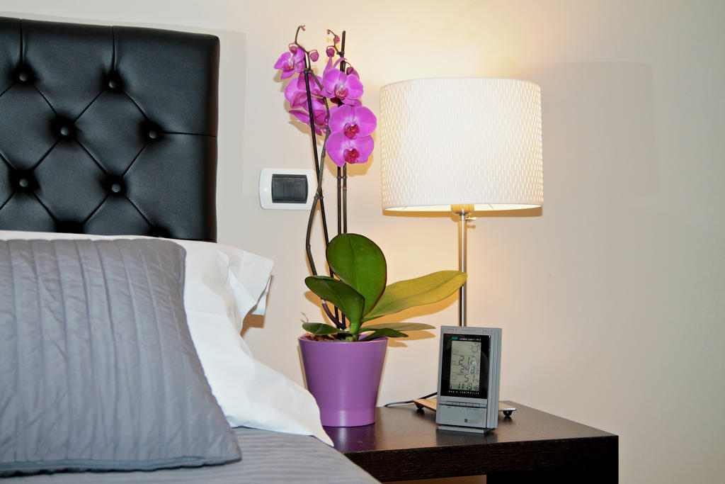 Residenza Mazzini Bed & Breakfast Rome Ruang foto